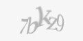 Защитный код