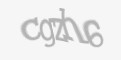 Защитный код