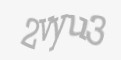 Защитный код