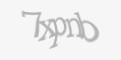 Защитный код
