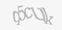 Защитный код