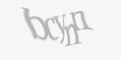 Защитный код