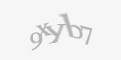 Защитный код