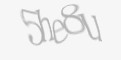 Защитный код