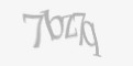 Защитный код