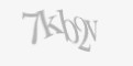 Защитный код