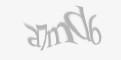 Защитный код