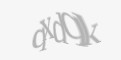 Защитный код