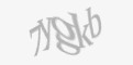 Защитный код