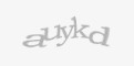 Защитный код