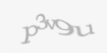 Защитный код