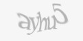 Защитный код