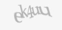 Защитный код