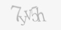 Защитный код