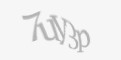 Защитный код