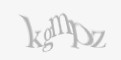 Защитный код