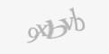Защитный код