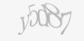 Защитный код