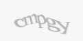 Защитный код