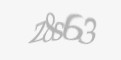 Защитный код