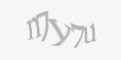 Защитный код