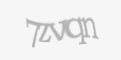 Защитный код