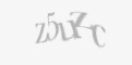Защитный код