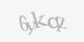 Защитный код