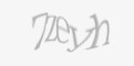 Защитный код